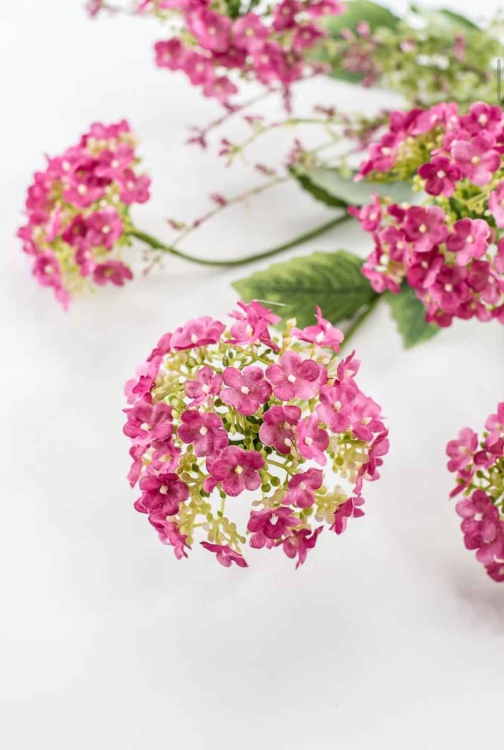 Beauty Hydrangea Bush - 19" - Greenery Market40442-BTY