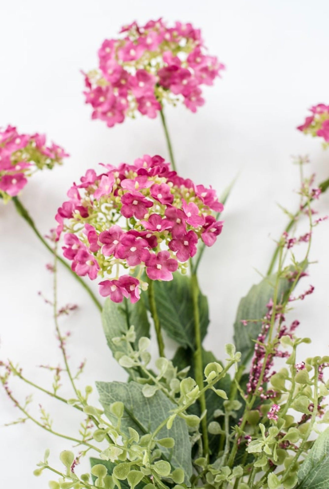 Beauty Hydrangea Bush - 19" - Greenery Market40442-BTY