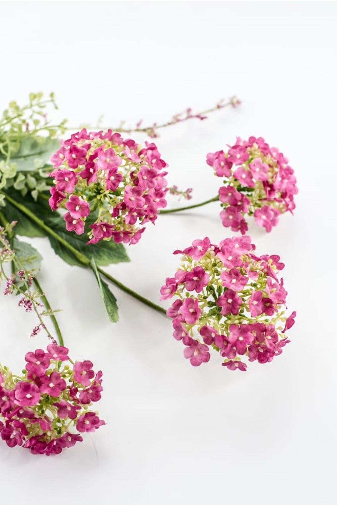 Beauty Hydrangea Bush - 19" - Greenery Market40442-BTY