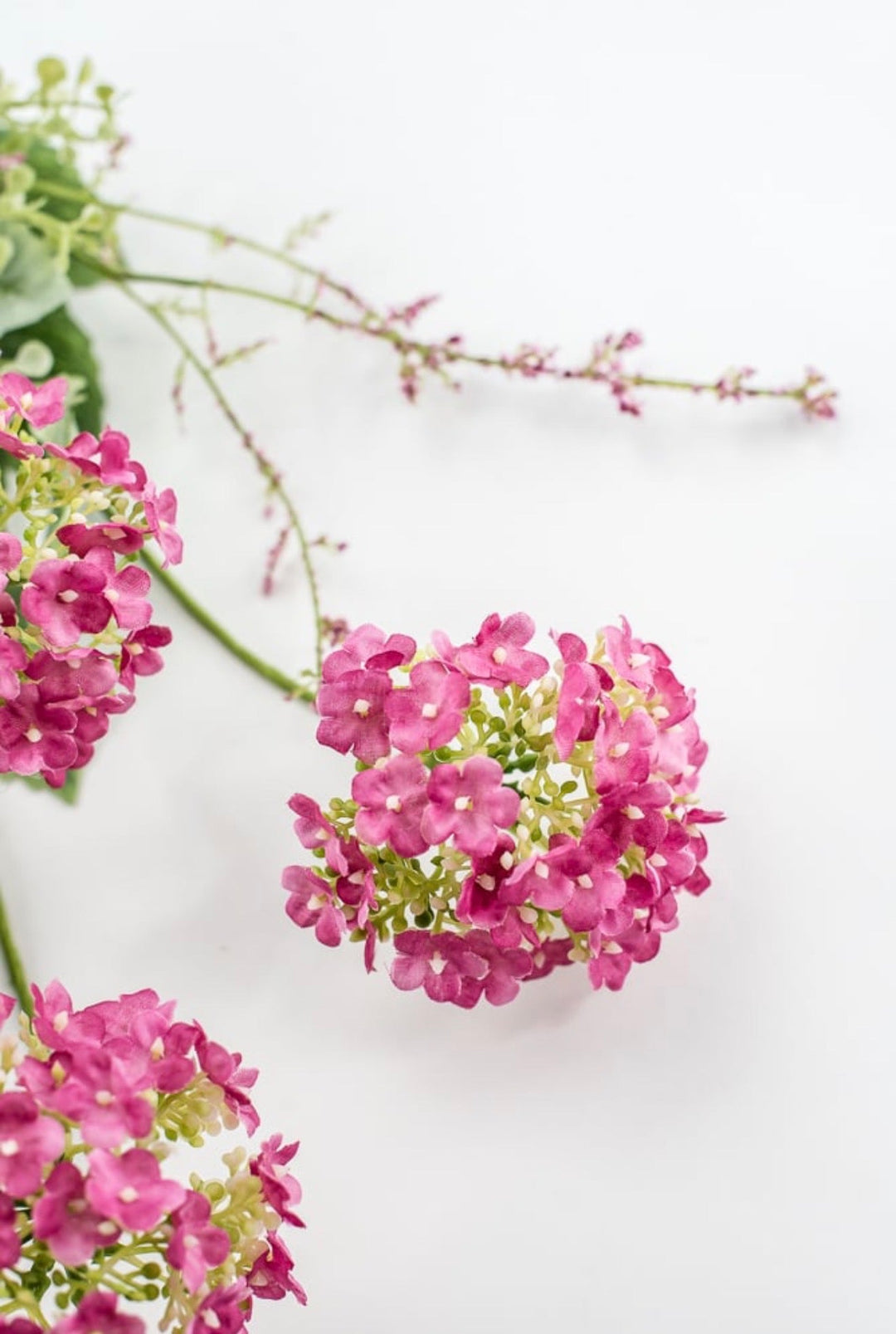 Beauty Hydrangea Bush - 19" - Greenery Market40442-BTY