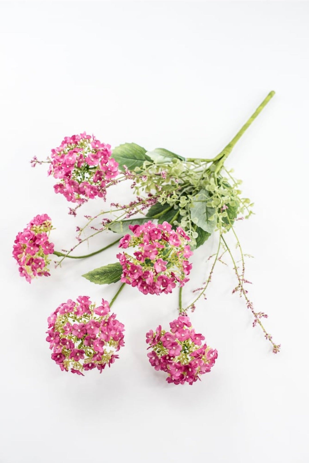 Beauty Hydrangea Bush - 19" - Greenery Market40442-BTY