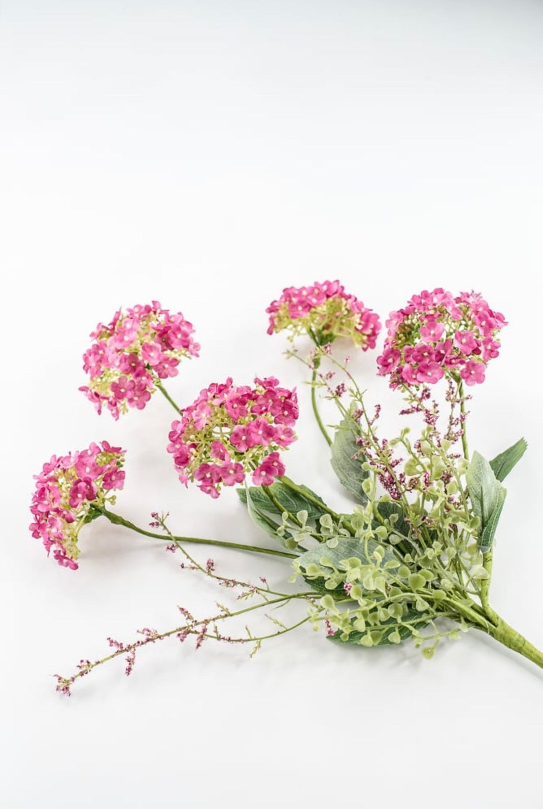 Beauty Hydrangea Bush - 19" - Greenery Market40442-BTY