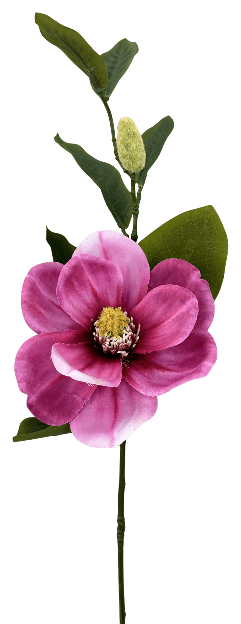 Beauty Magnolia Stem - 25.5" - Greenery MarketArtificial Flowers29346BT