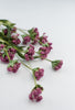 Beauty pink filler spray - Greenery Marketgreenery63500BT