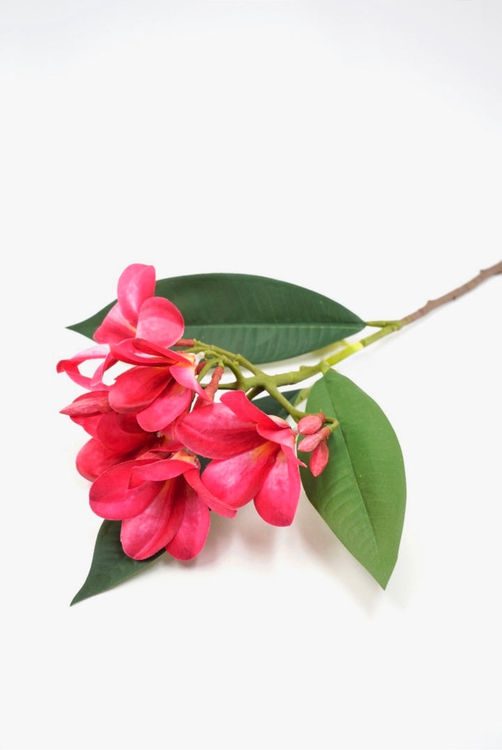 Beauty Plumeria Spray - 21" - Greenery MarketArtificial Flowers64054BT