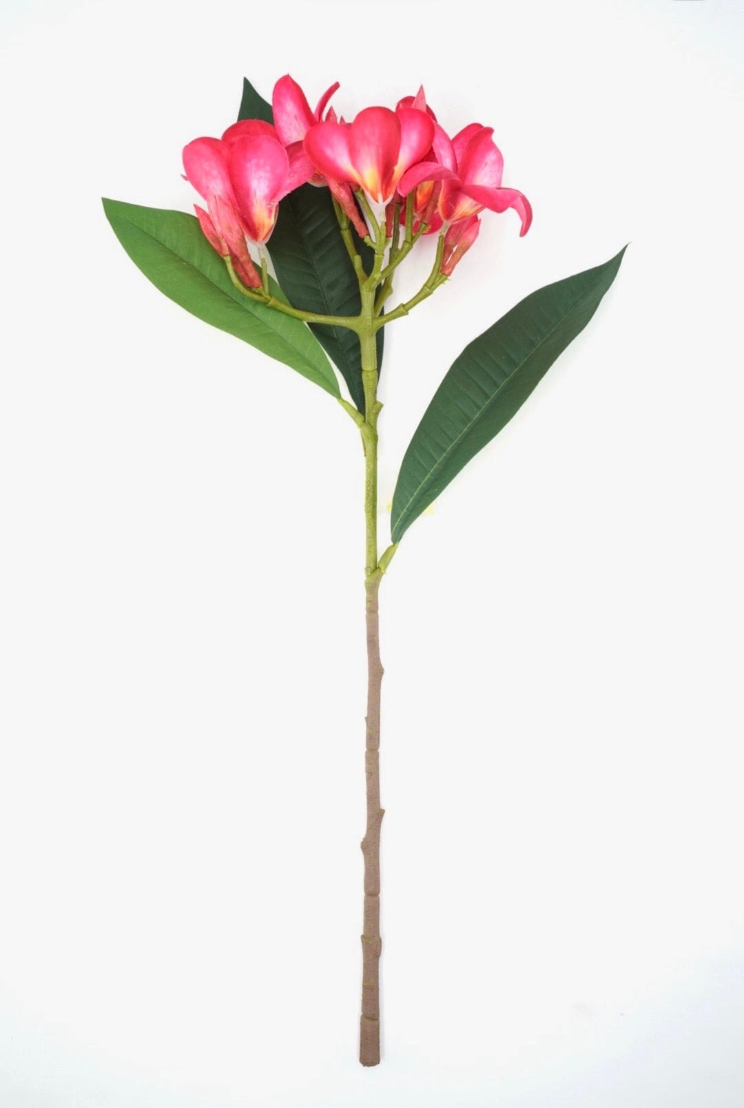 Beauty Plumeria Spray - 21" - Greenery MarketArtificial Flowers64054BT