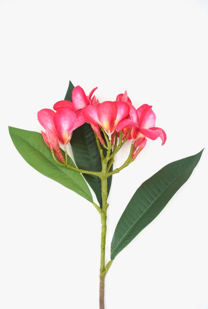 Beauty Plumeria Spray - 21" - Greenery MarketArtificial Flowers64054BT