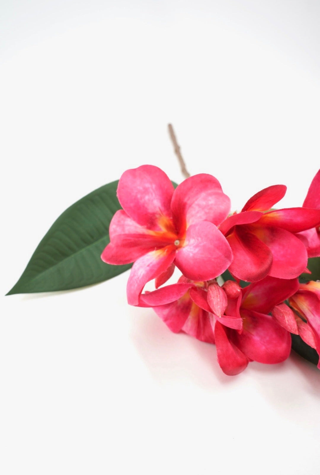 Beauty Plumeria Spray - 21" - Greenery MarketArtificial Flowers64054BT
