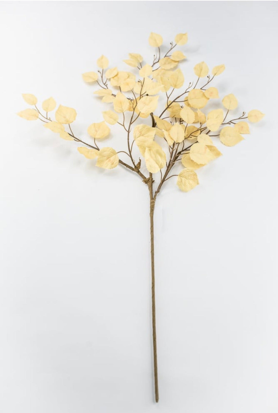 Beige Cream Birch Leaf Spray - Greenery MarketArtificial Flora64486-beige