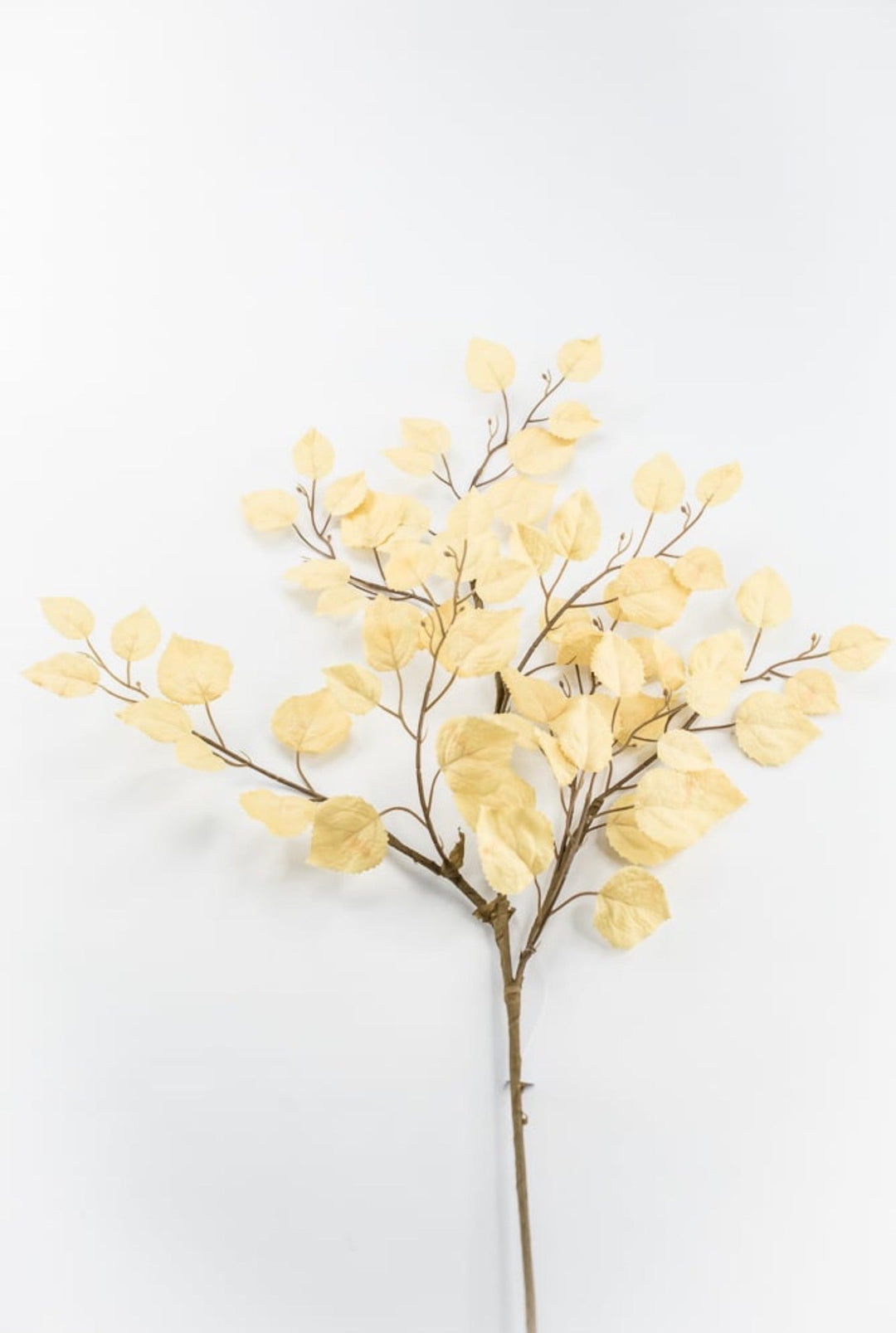 Beige Cream Birch Leaf Spray - Greenery MarketArtificial Flora64486-beige