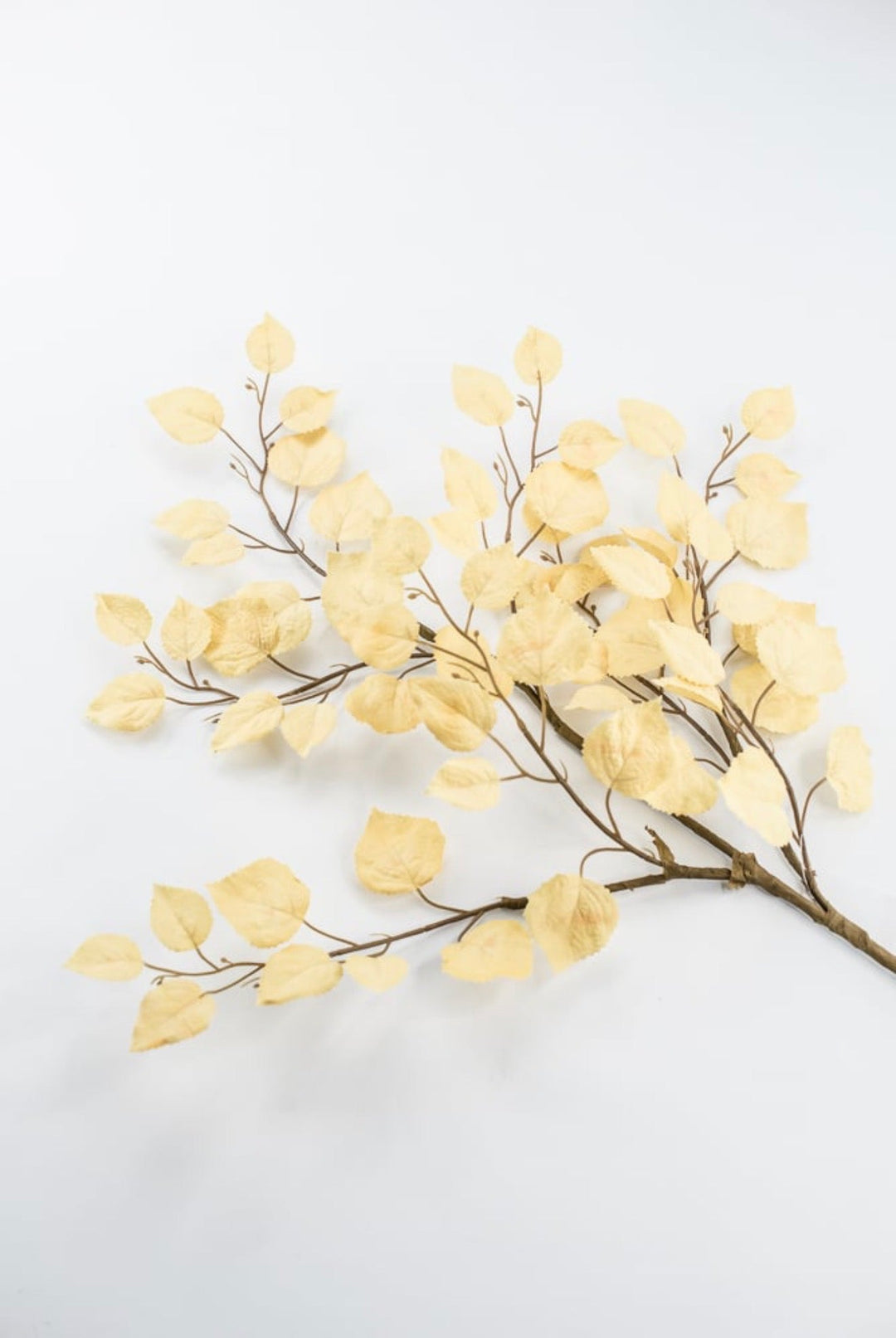 Beige Cream Birch Leaf Spray - Greenery MarketArtificial Flora64486-beige