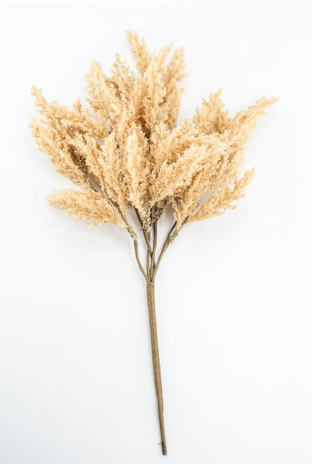 Beige Feather Reed Bush - Greenery Market57265BE