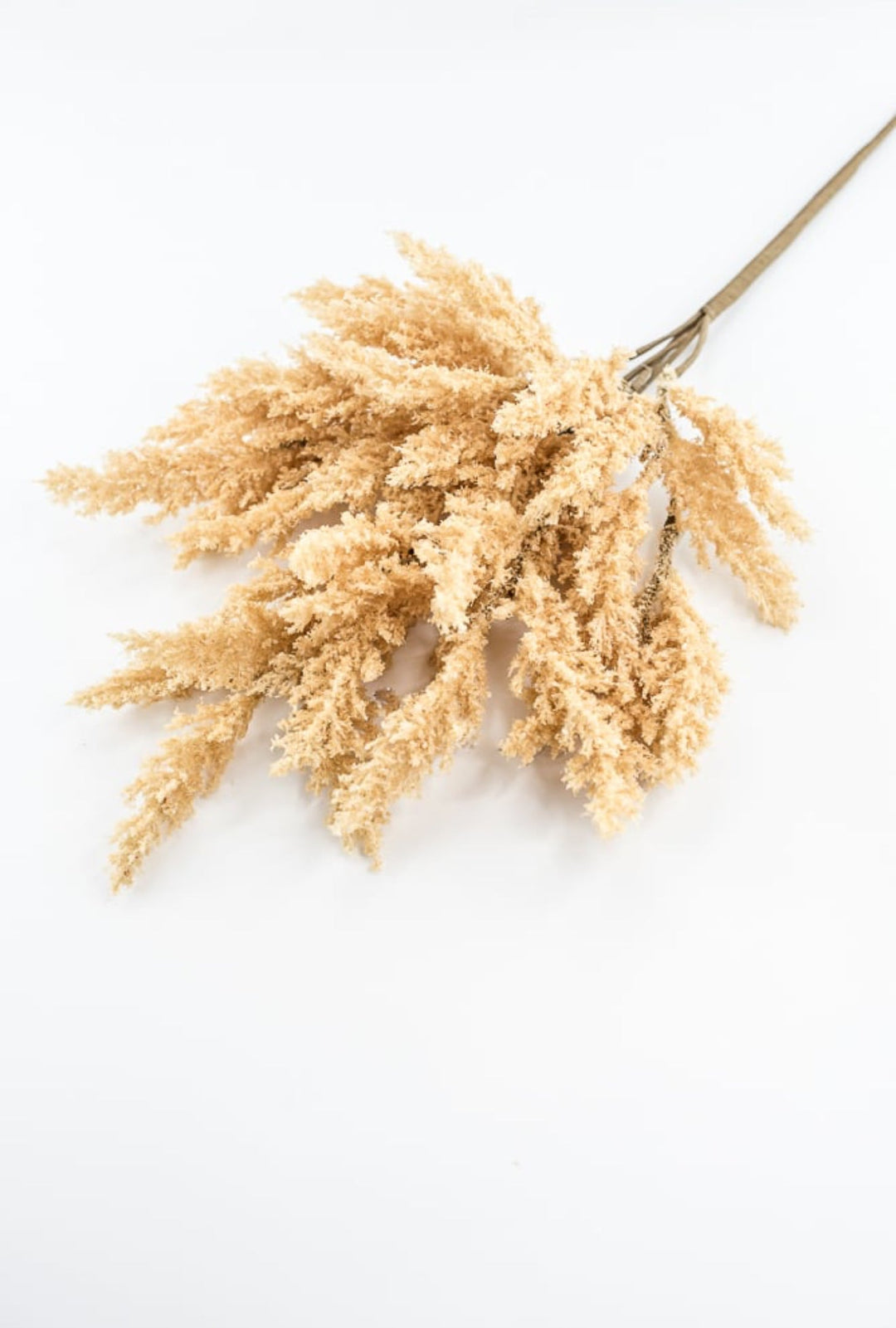 Beige Feather Reed Bush - Greenery Market57265BE