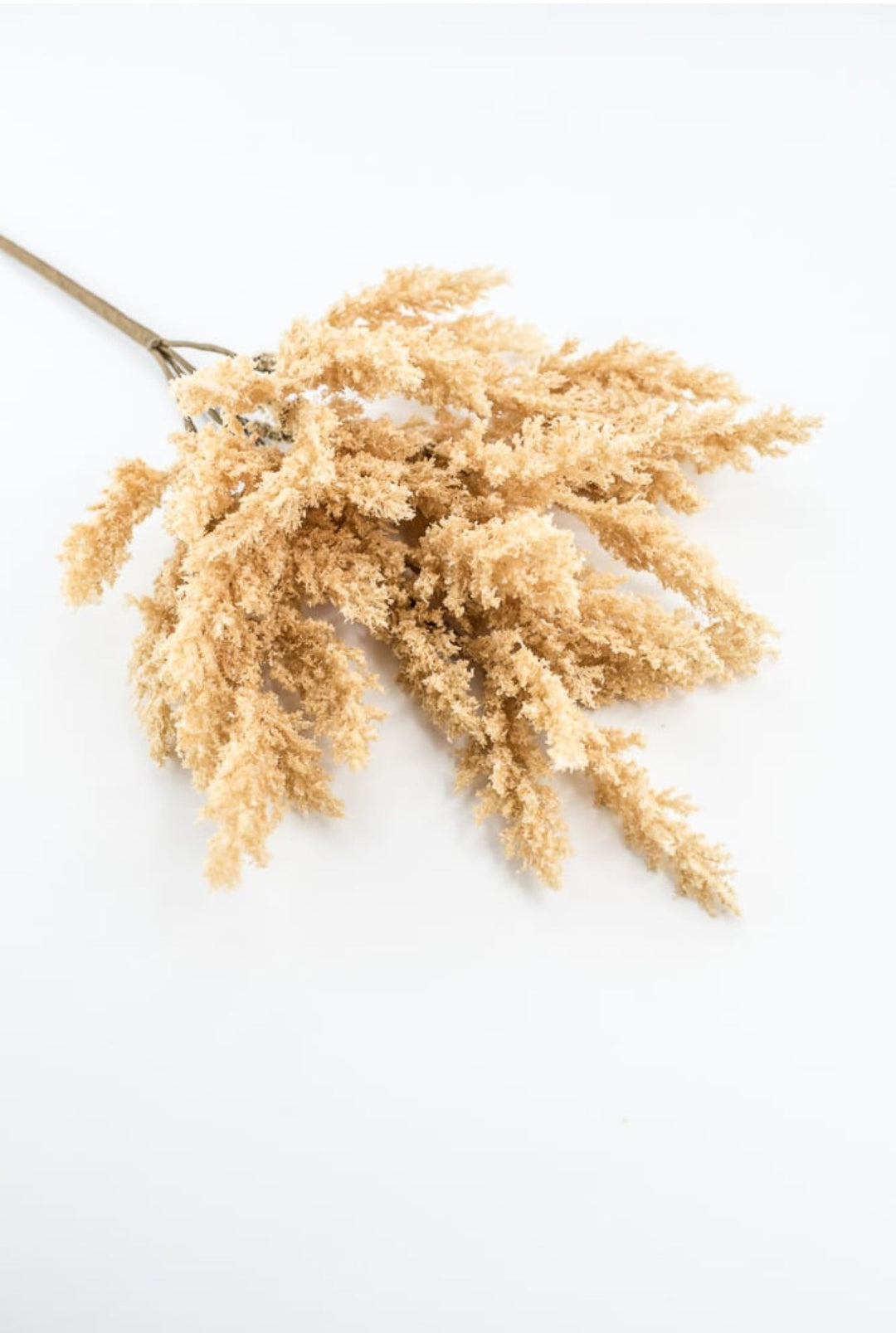 Beige Feather Reed Bush - Greenery Market57265BE