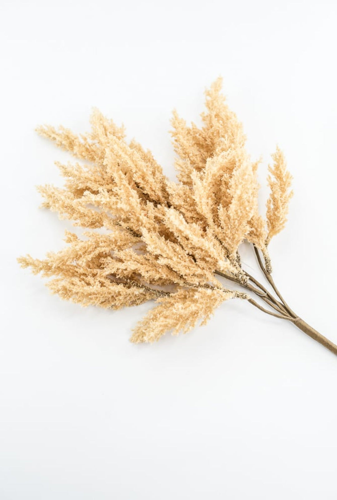 Beige Feather Reed Bush - Greenery Market57265BE