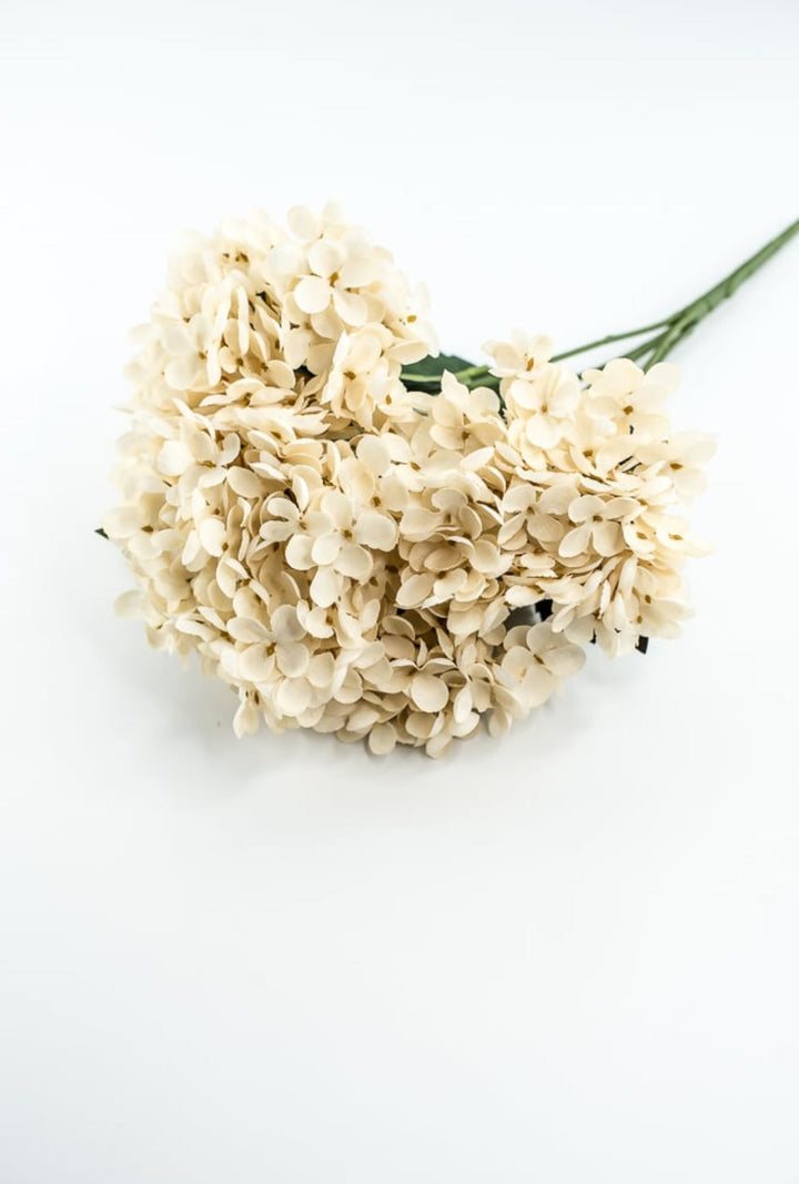 Beige Hydrangea Bush - Greenery Market57328BE