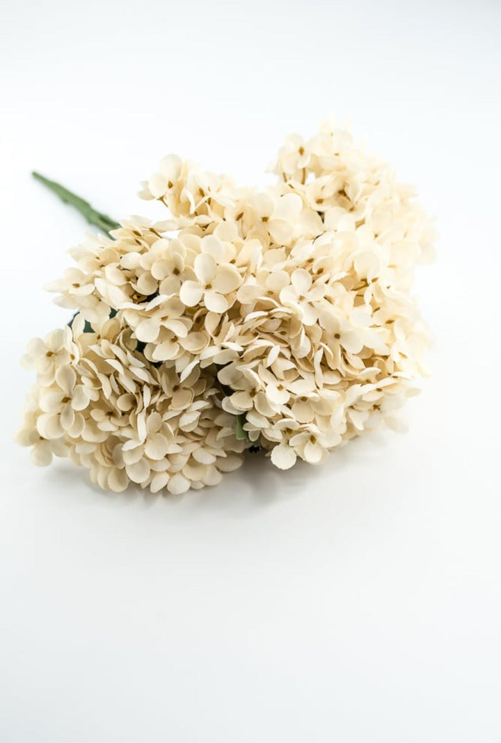 Beige Hydrangea Bush - Greenery Market57328BE