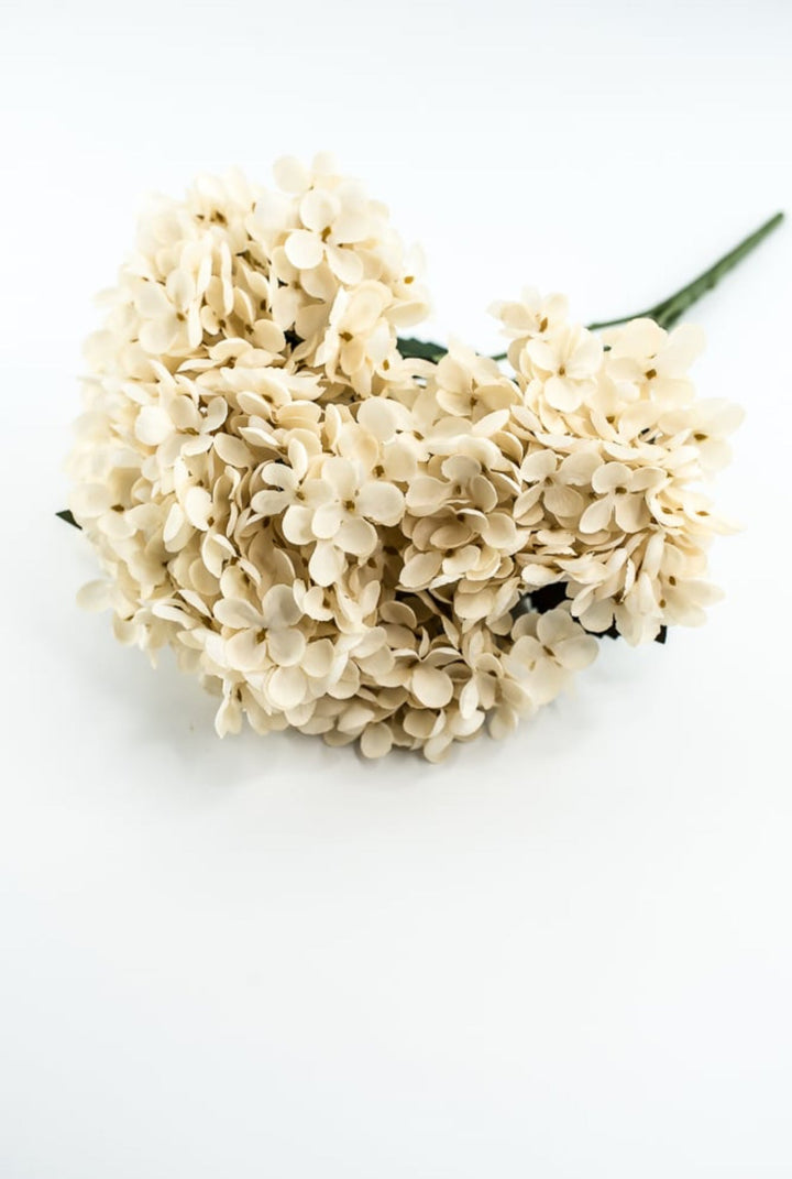 Beige Hydrangea Bush - Greenery Market57328BE
