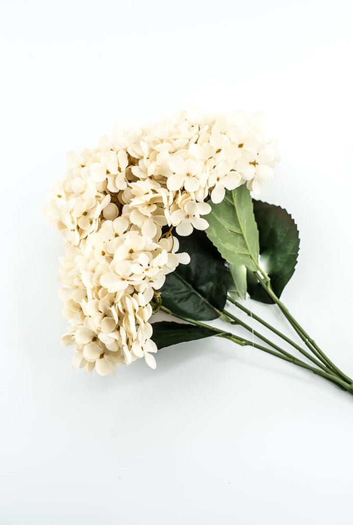 Beige Hydrangea Bush - Greenery Market57328BE