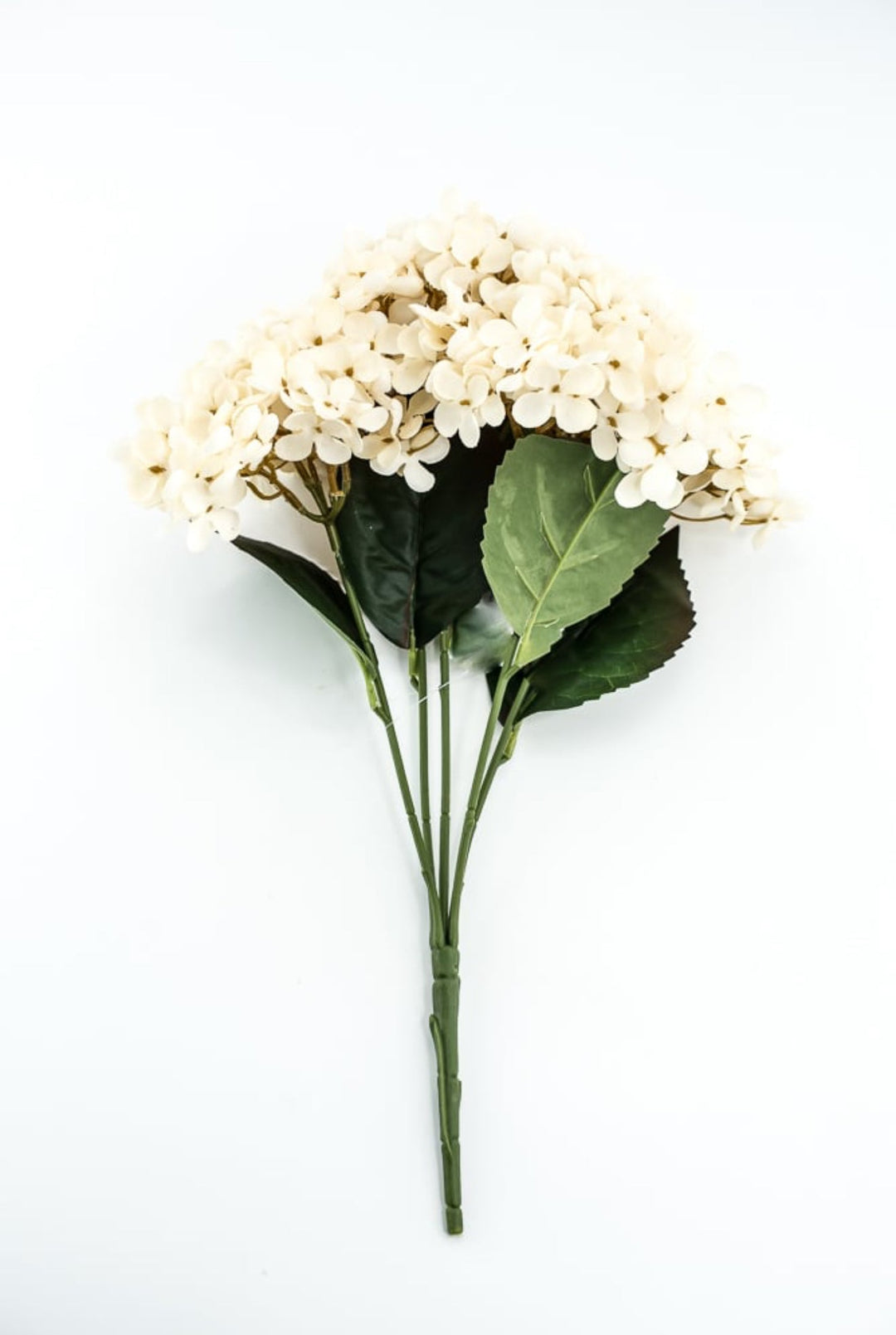 Beige Hydrangea Bush - Greenery Market57328BE