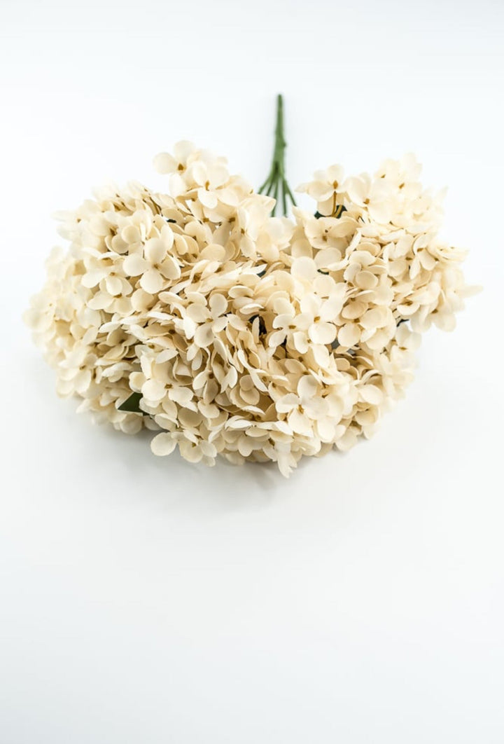 Beige Hydrangea Bush - Greenery Market57328BE