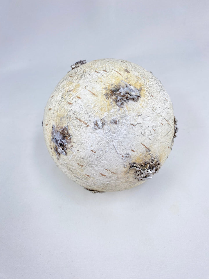 Birch Bark Christmas Ornament 3” - Greenery MarketSeasonal & Holiday Decorations2829128WH