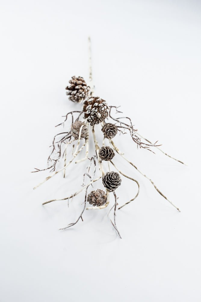 Birch Like, Brown & White, Pinecone With Snow Spray - 23" - Greenery Market2830353BW