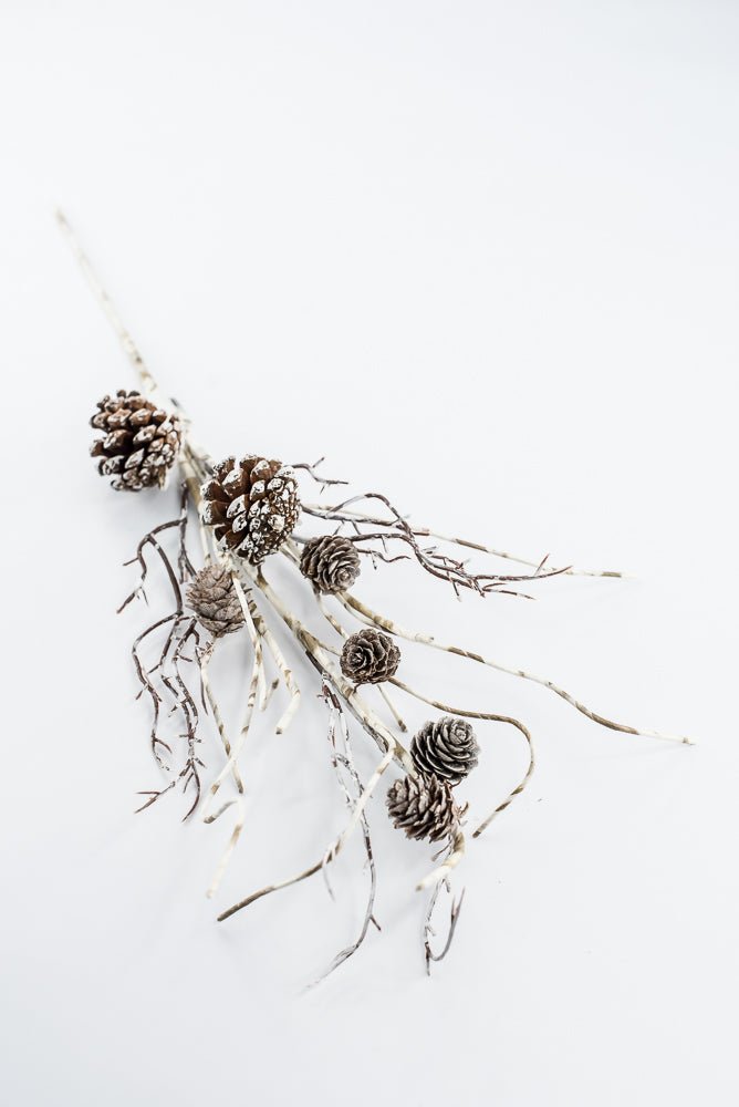 Birch Like, Brown & White, Pinecone With Snow Spray - 23" - Greenery Market2830353BW