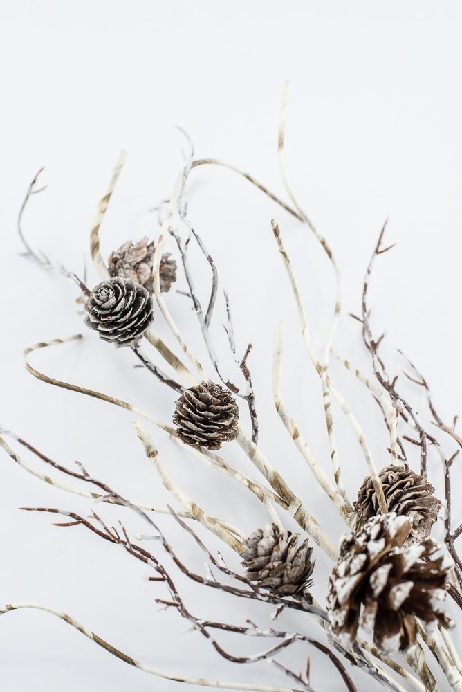 Birch Like, Brown & White, Pinecone With Snow Spray - 23" - Greenery Market2830353BW