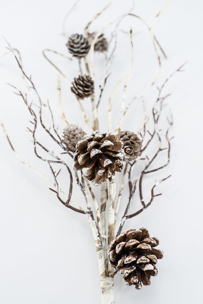 Birch Like, Brown & White, Pinecone With Snow Spray - 23" - Greenery Market2830353BW
