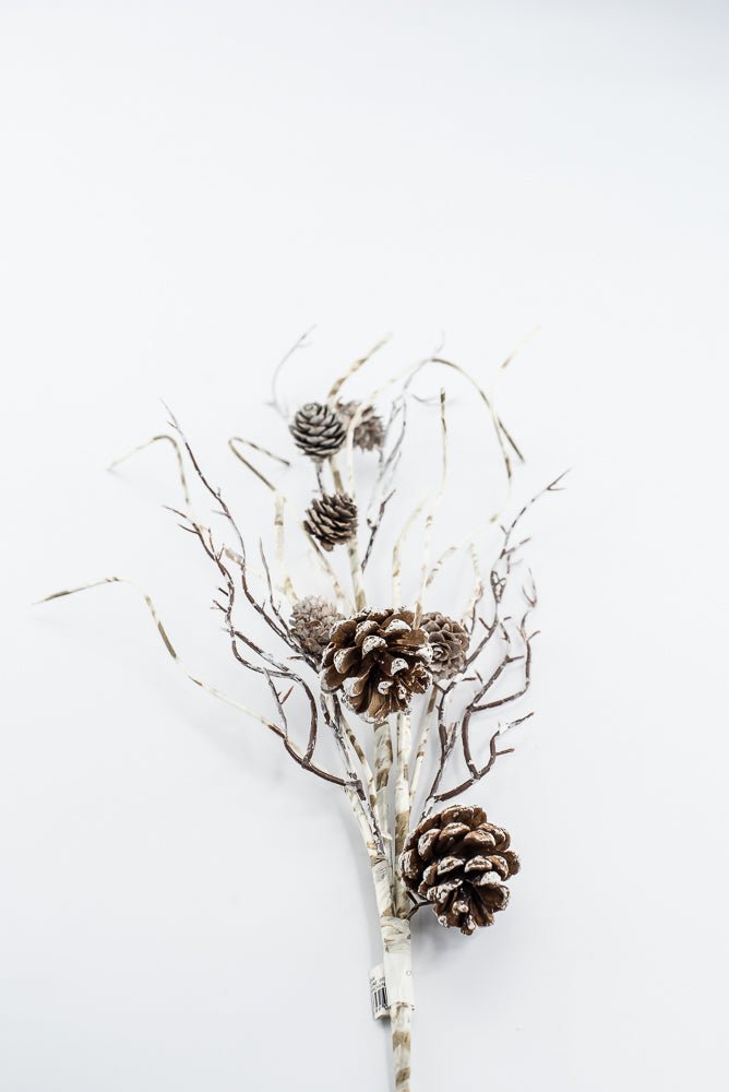 Birch Like, Brown & White, Pinecone With Snow Spray - 23" - Greenery Market2830353BW
