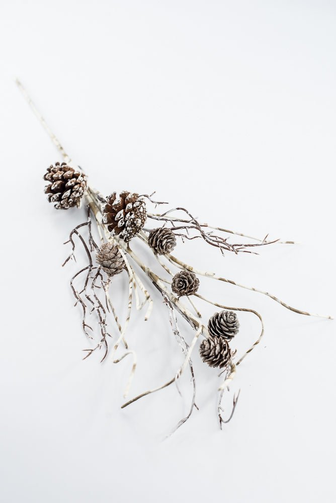 Birch Like, Brown & White, Pinecone With Snow Spray - 23" - Greenery Market2830353BW