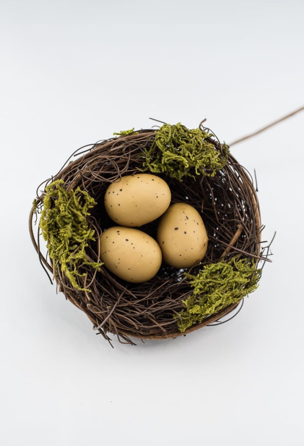 birds nest with eggs pick - Greenery Market