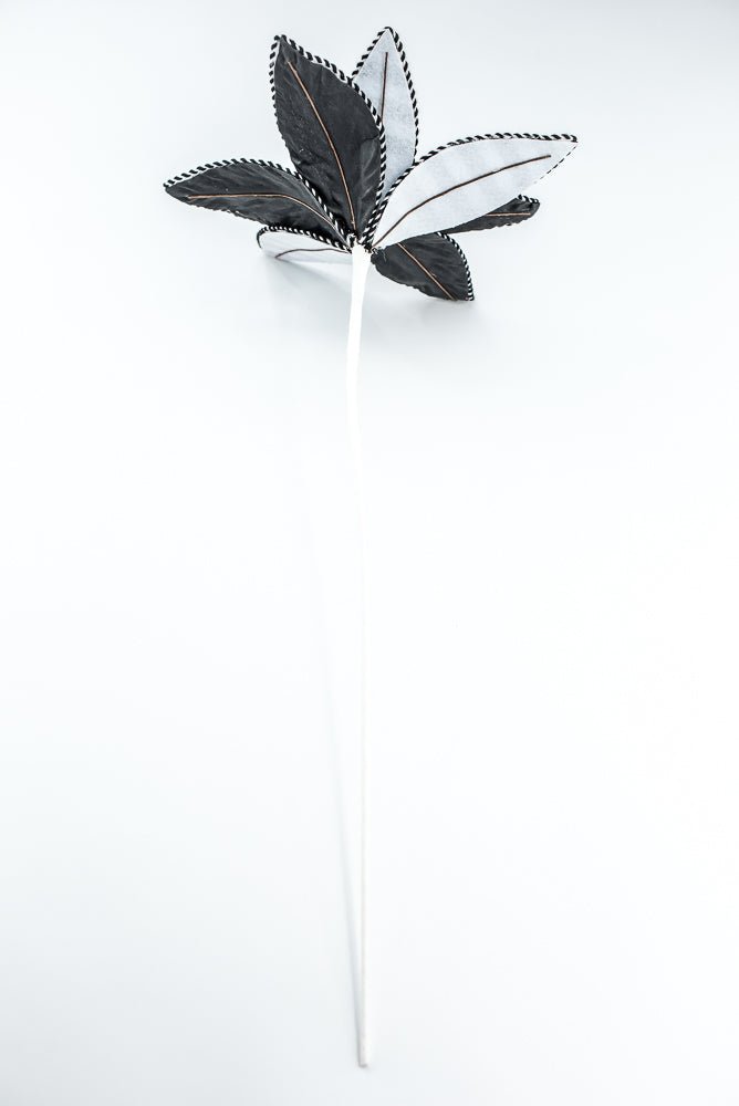 Black and White Stripe Poinsettia Stem - Greenery Market86280BKWT