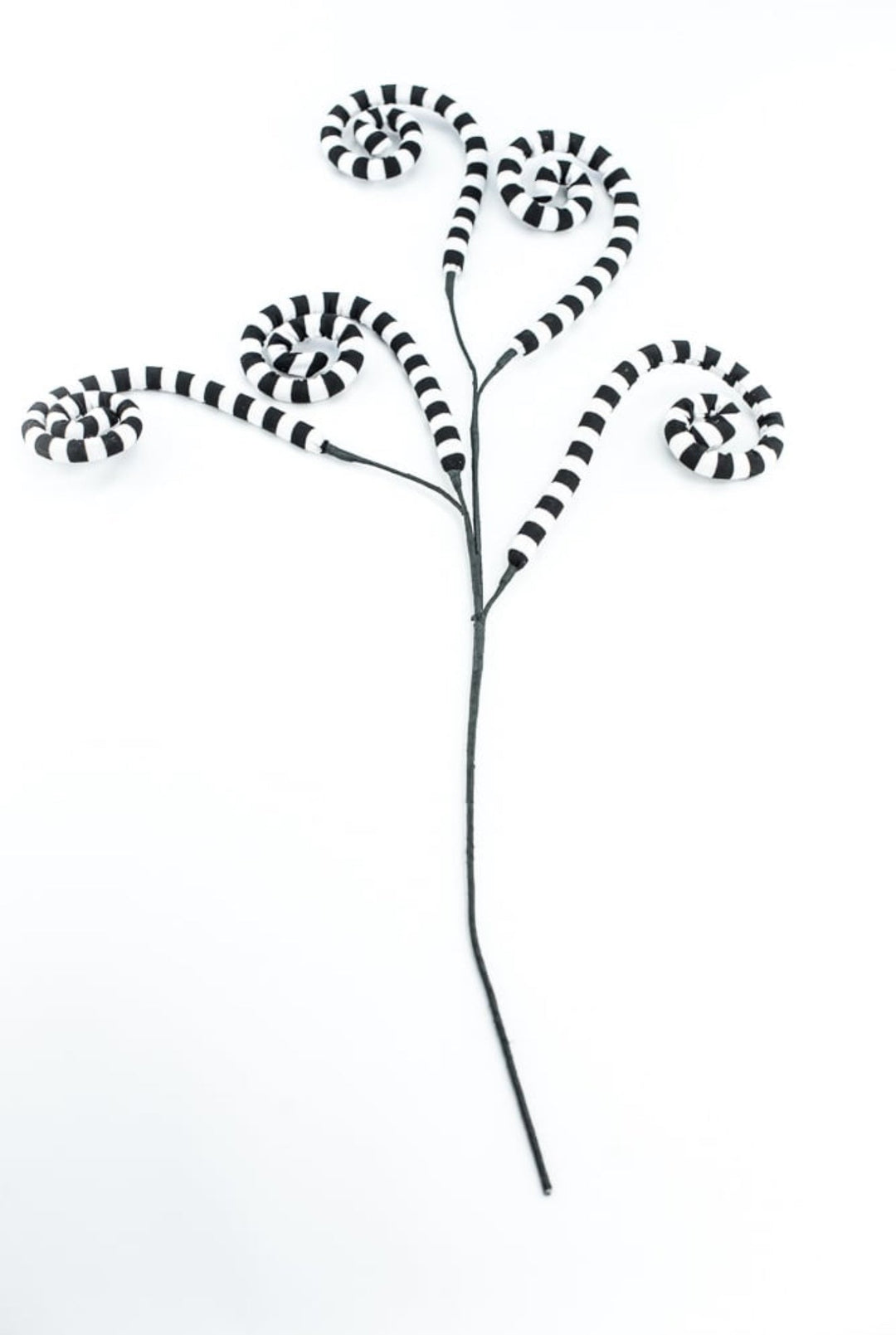 Black And White Striped Curly Spray - Greenery MarketPicks56533BKWT