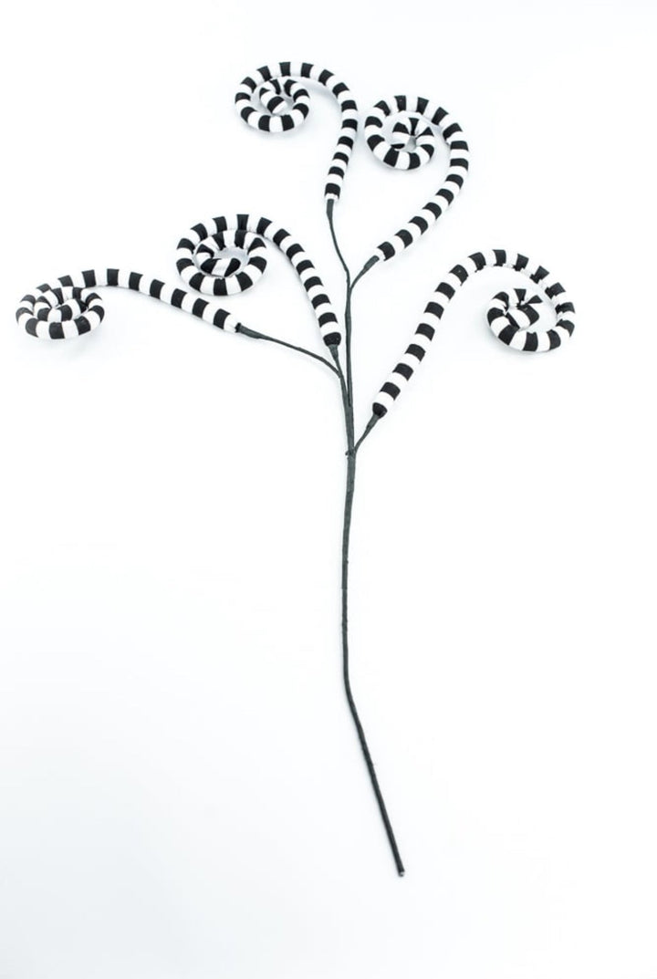 Black And White Striped Curly Spray - Greenery MarketPicks56533BKWT