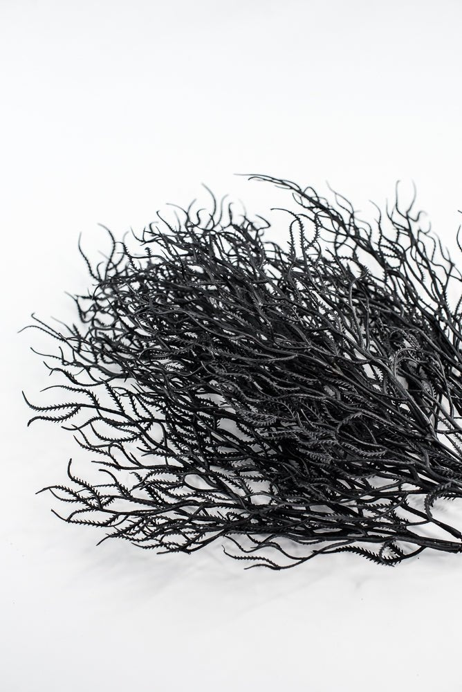 Black Cottonii Seaweed Bush - Greenery Market57097BK