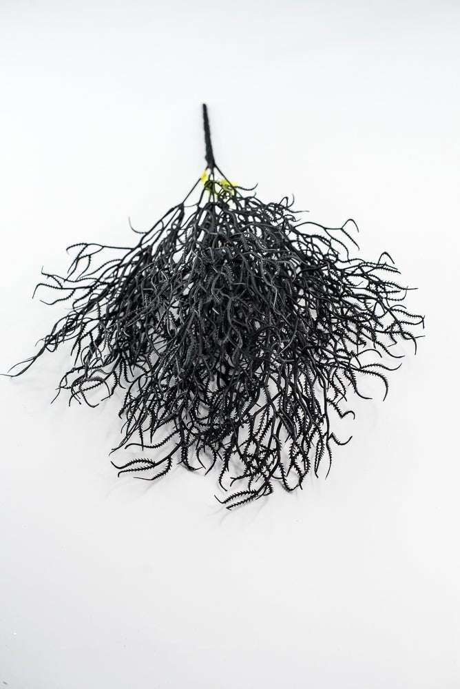 Black Cottonii Seaweed Bush - Greenery Market57097BK