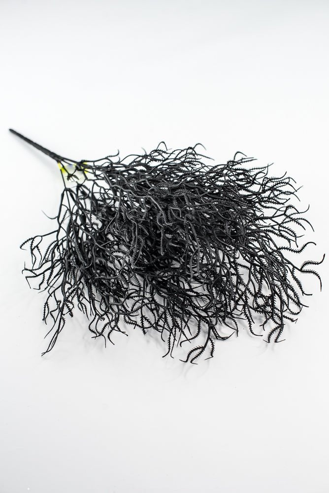 Black Cottonii Seaweed Bush - Greenery Market57097BK