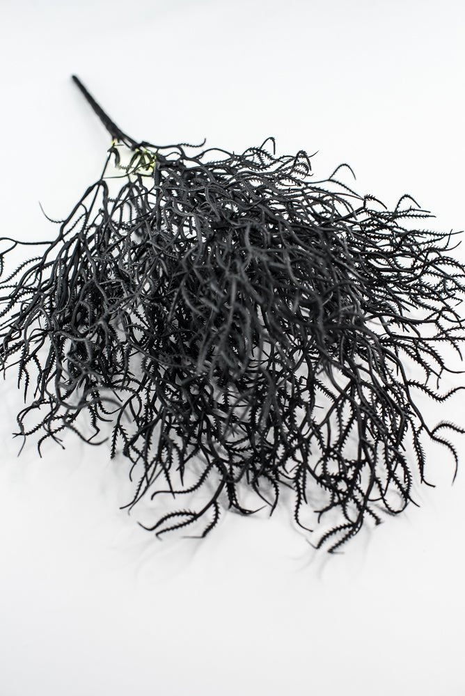 Black Cottonii Seaweed Bush - Greenery Market57097BK