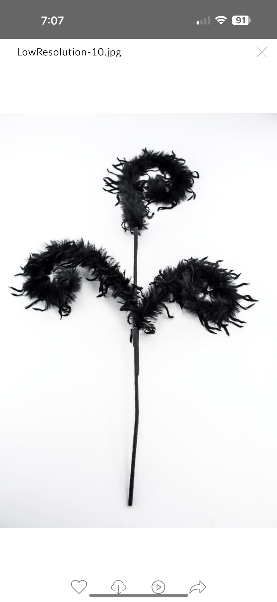 Black Furry Spiral Curly Spray - Greenery Market57305BK