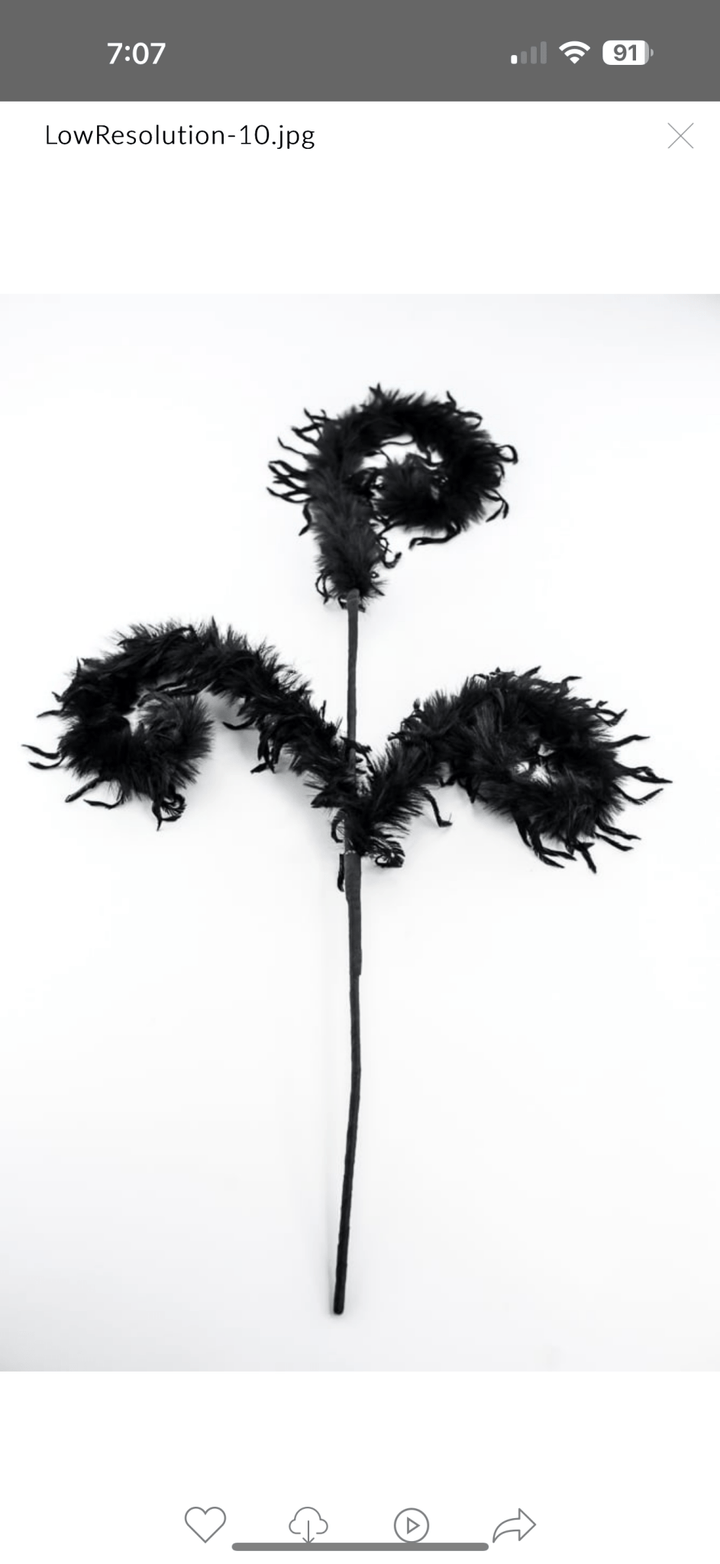 Black Furry Spiral Curly Spray - Greenery Market57305BK