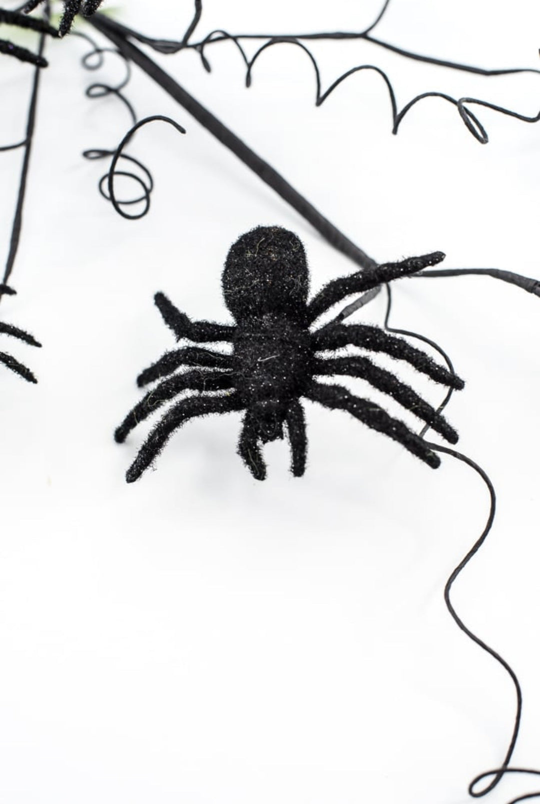 Black Spider Spray - Greenery Market56800BK