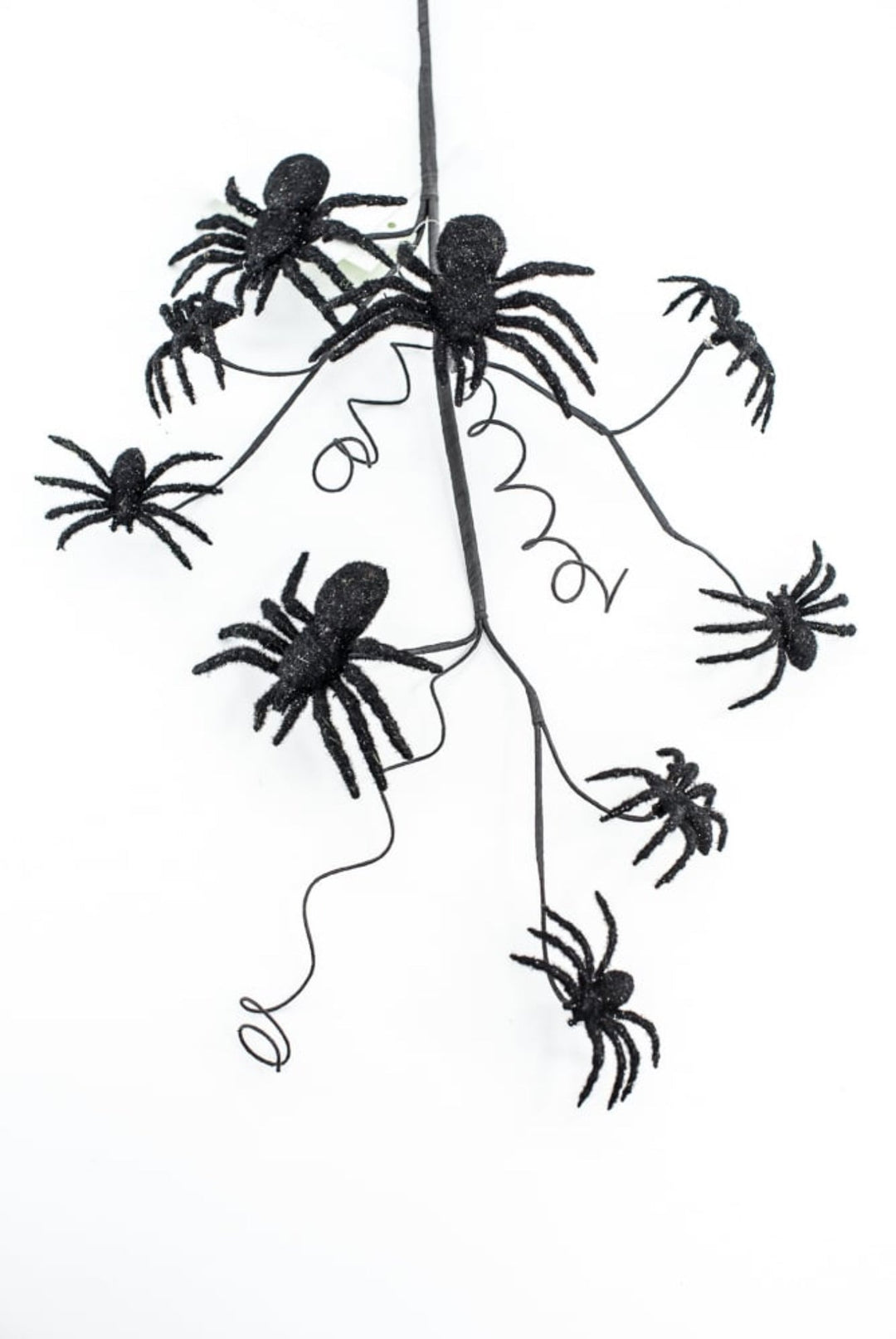 Black Spider Spray - Greenery Market56800BK