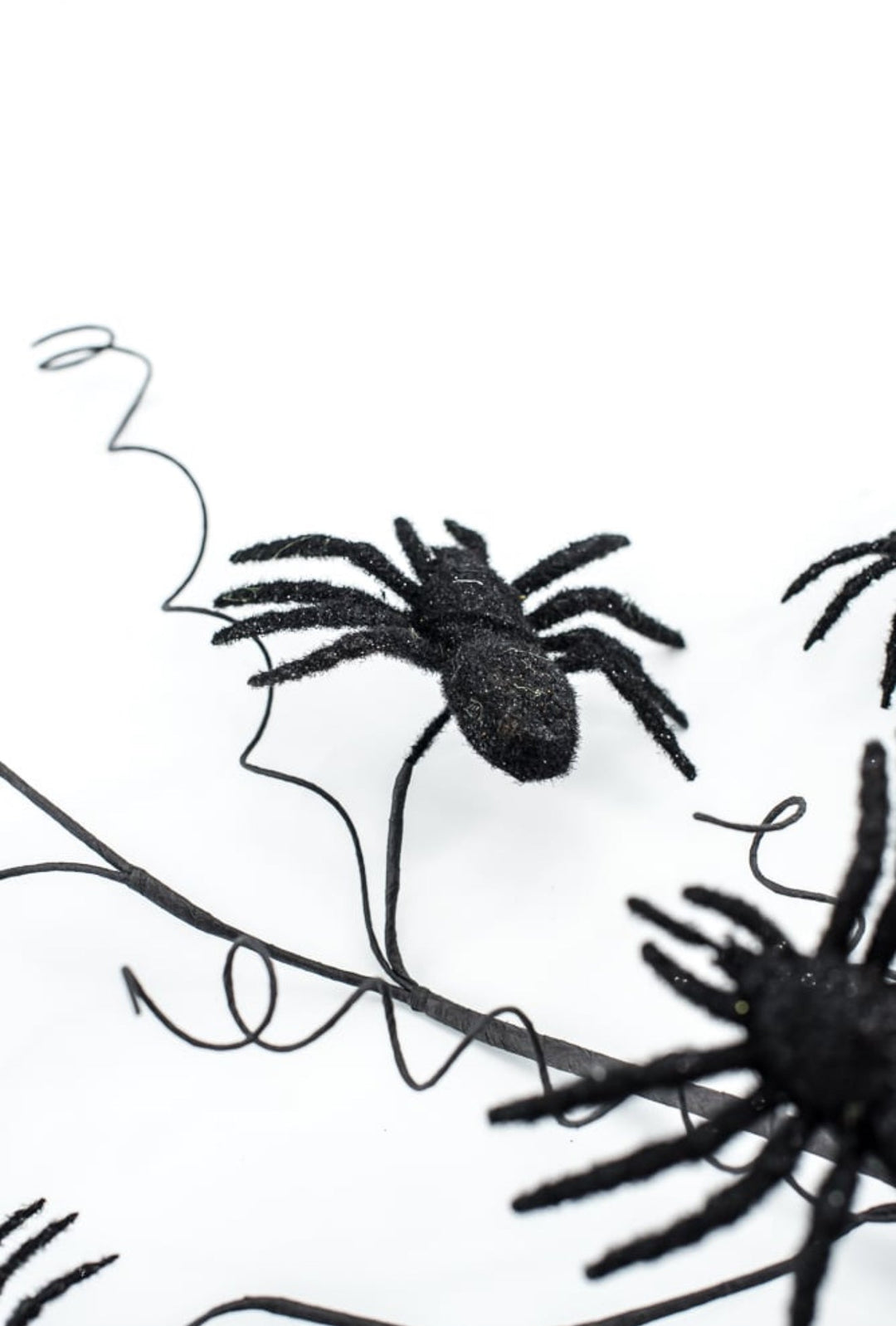 Black Spider Spray - Greenery Market56800BK