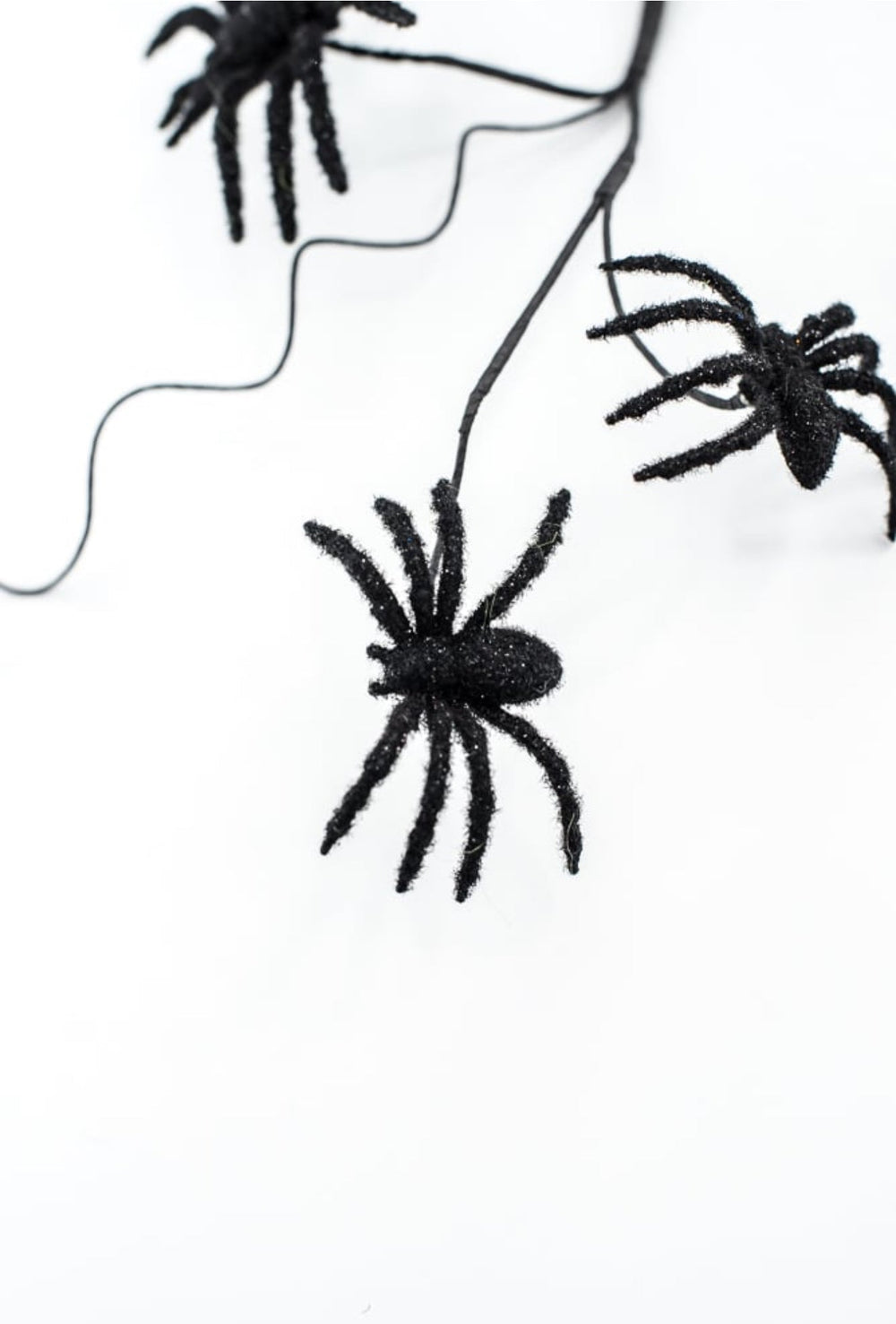 Black Spider Spray - Greenery Market56800BK