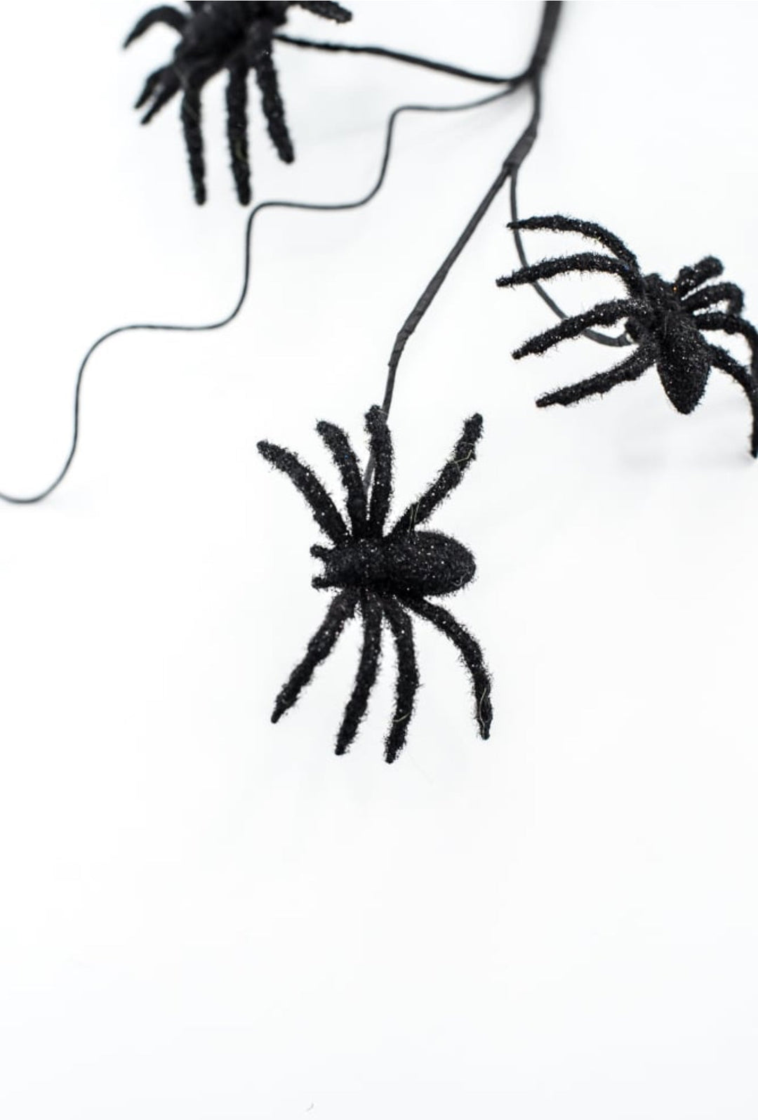 Black Spider Spray - Greenery Market56800BK