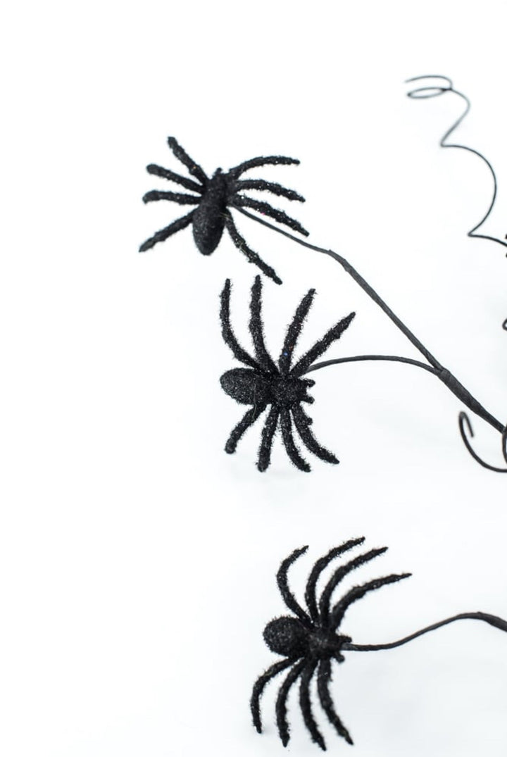 Black Spider Spray - Greenery Market56800BK