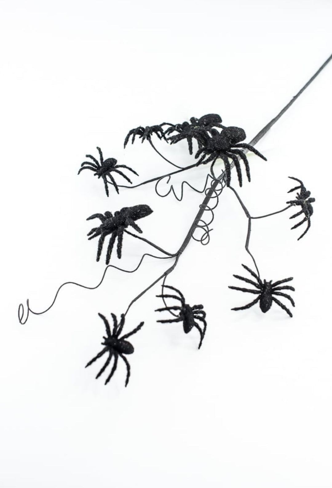 Black Spider Spray - Greenery Market56800BK