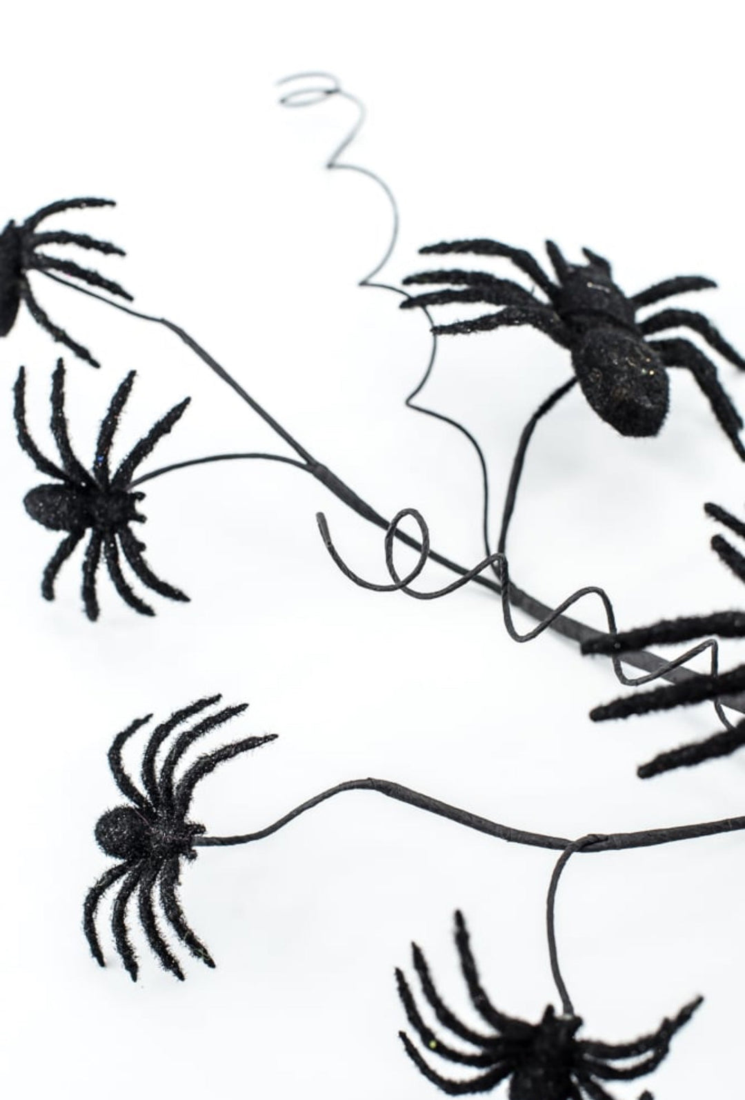 Black Spider Spray - Greenery Market56800BK